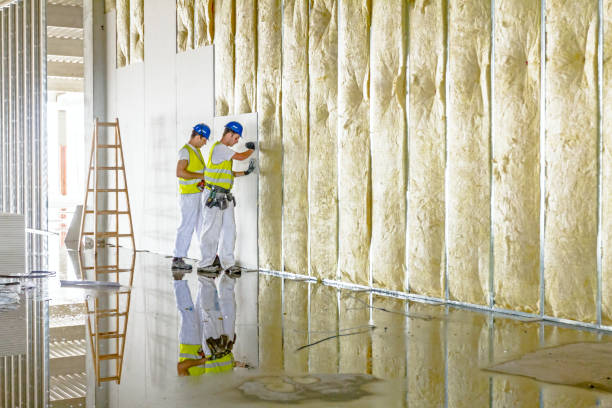 Best Residential Insulation in Delta, OH